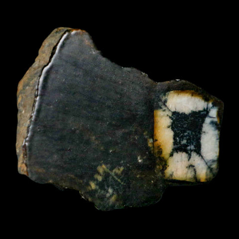 2.6" Rare Andalucite Var Chiastolite Mineral Specimen Asturias Province Boal Spain - Fossil Age Minerals