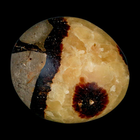 2" Septarian Dragon Palm Stone Mineral Specimen Healing Madagascar