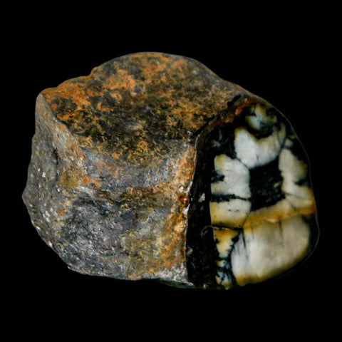 2" Rare Andalucite Var Chiastolite Mineral Specimen Asturias Province Boal Spain - Fossil Age Minerals