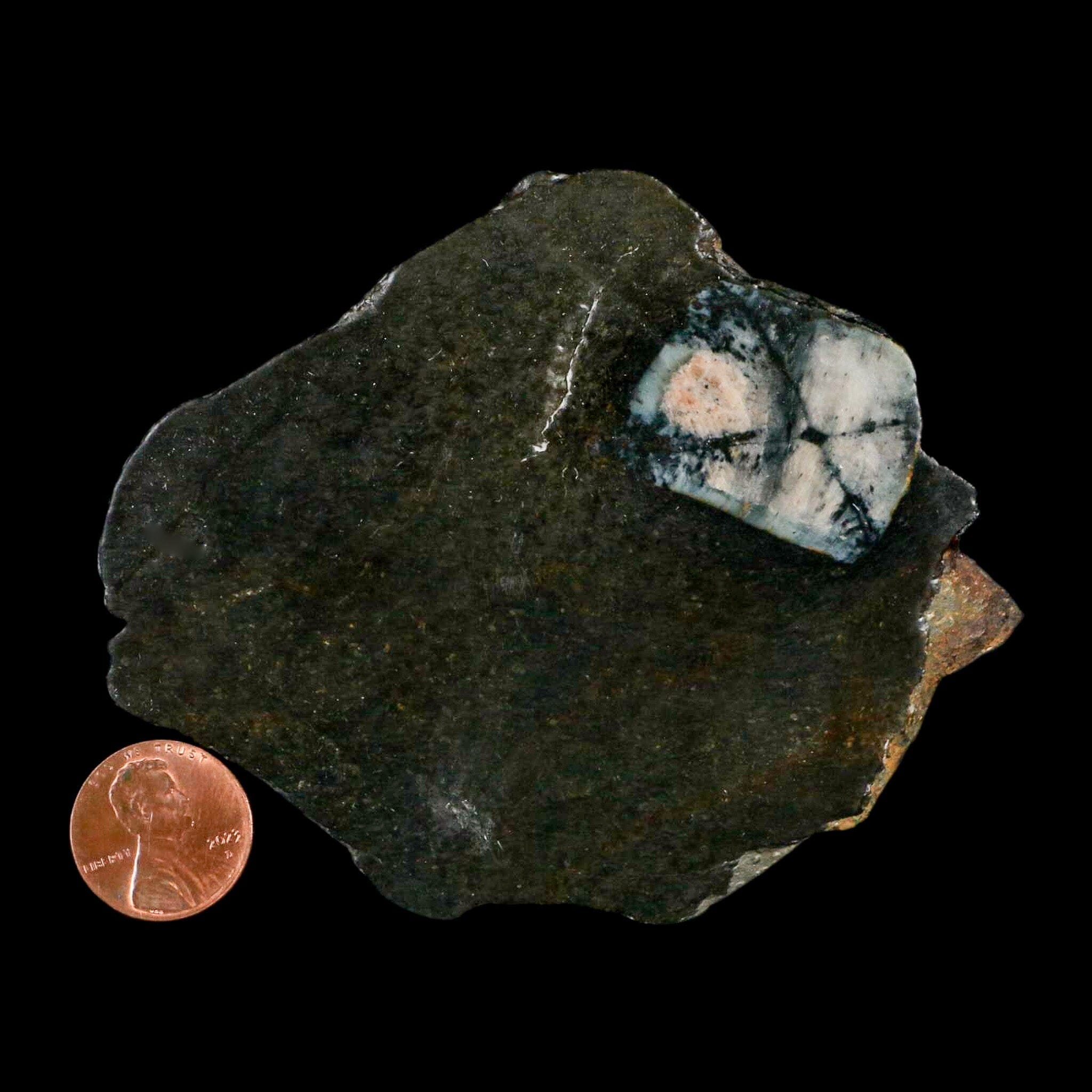 3.7" Rare Andalucite Var Chiastolite Mineral Specimen Asturias Province Boal Spain - Fossil Age Minerals