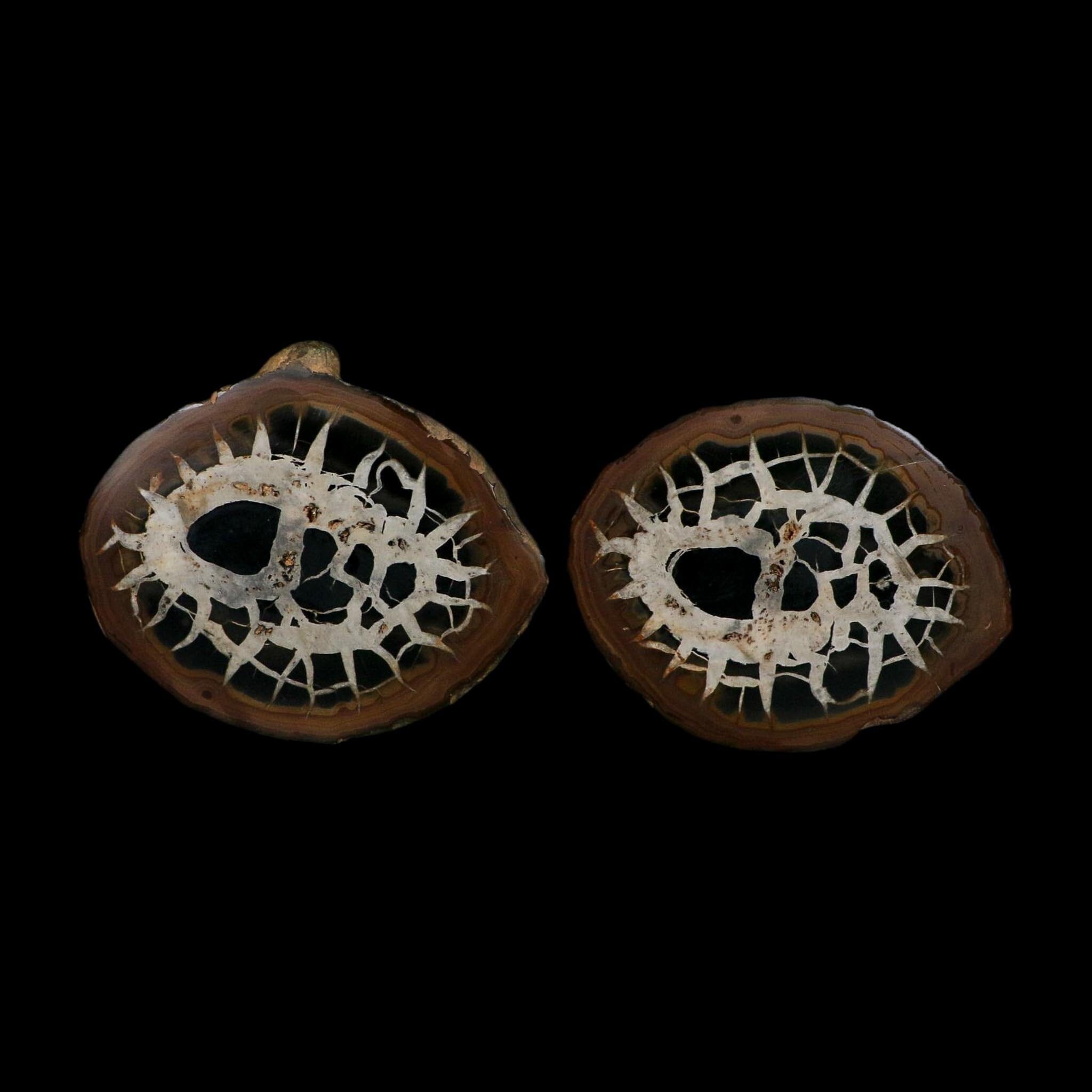 XL 4.1" Septarian Dragon Stone Polished Halves Nodule Mineral Specimen Morocco - Fossil Age Minerals
