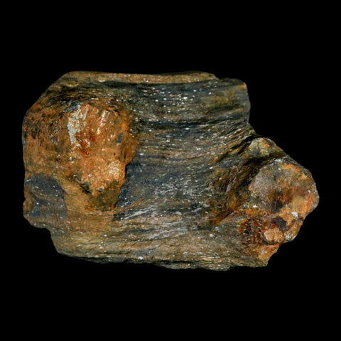 3.2" Rare Andalucite Var Chiastolite Mineral Specimen Asturias Province Boal Spain - Fossil Age Minerals