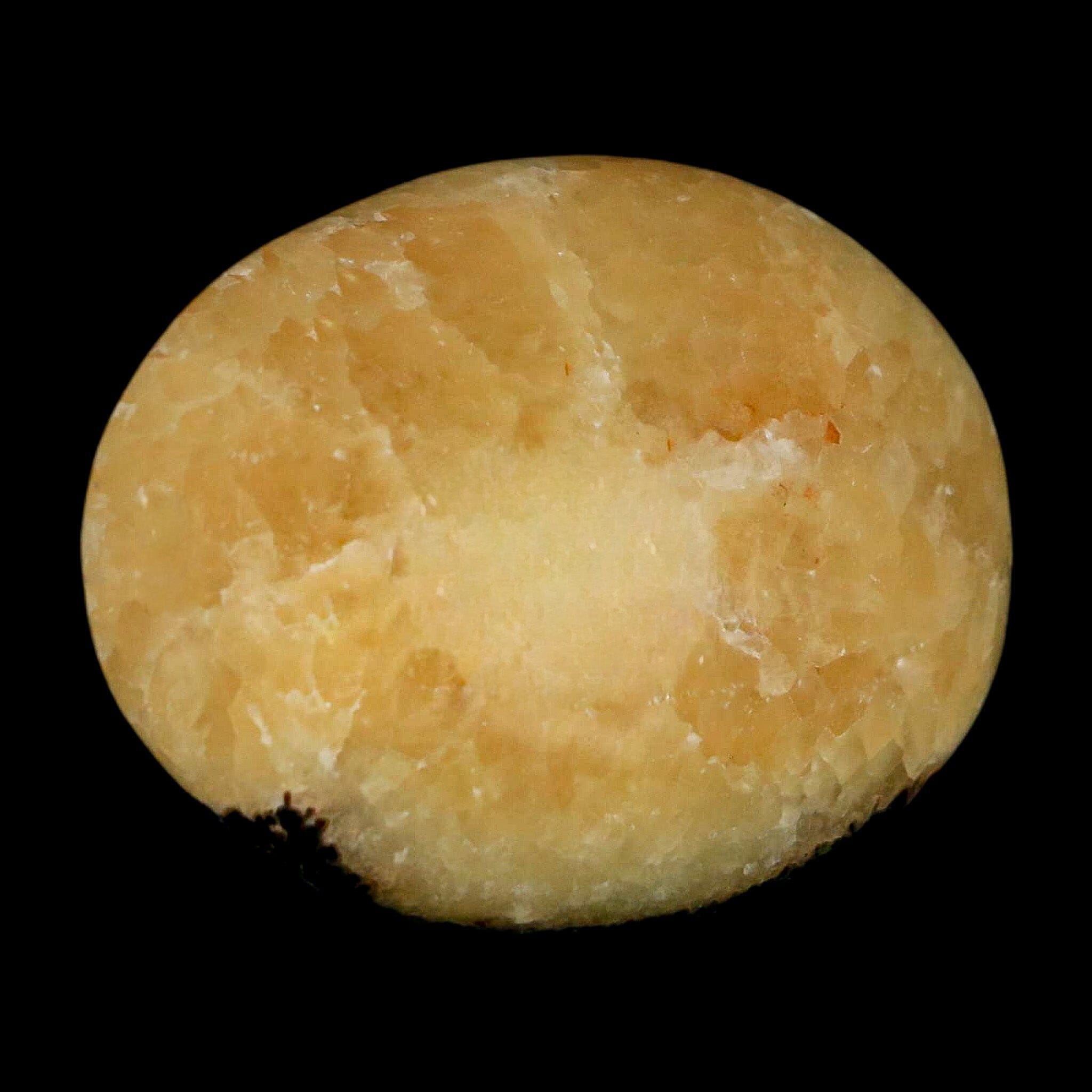 1.9" Septarian Dragon Palm Stone Mineral Specimen Healing Madagascar - Fossil Age Minerals
