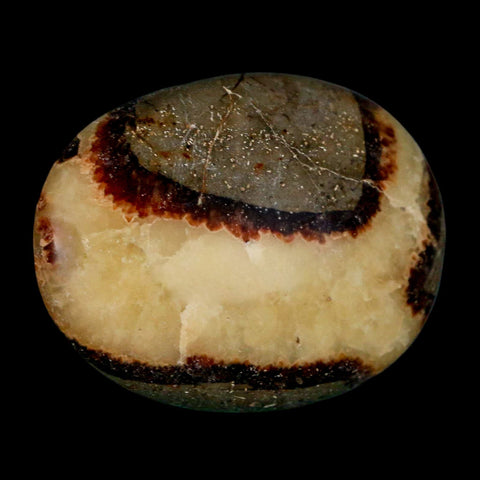 1.9" Septarian Dragon Palm Stone Mineral Specimen Healing Madagascar - Fossil Age Minerals