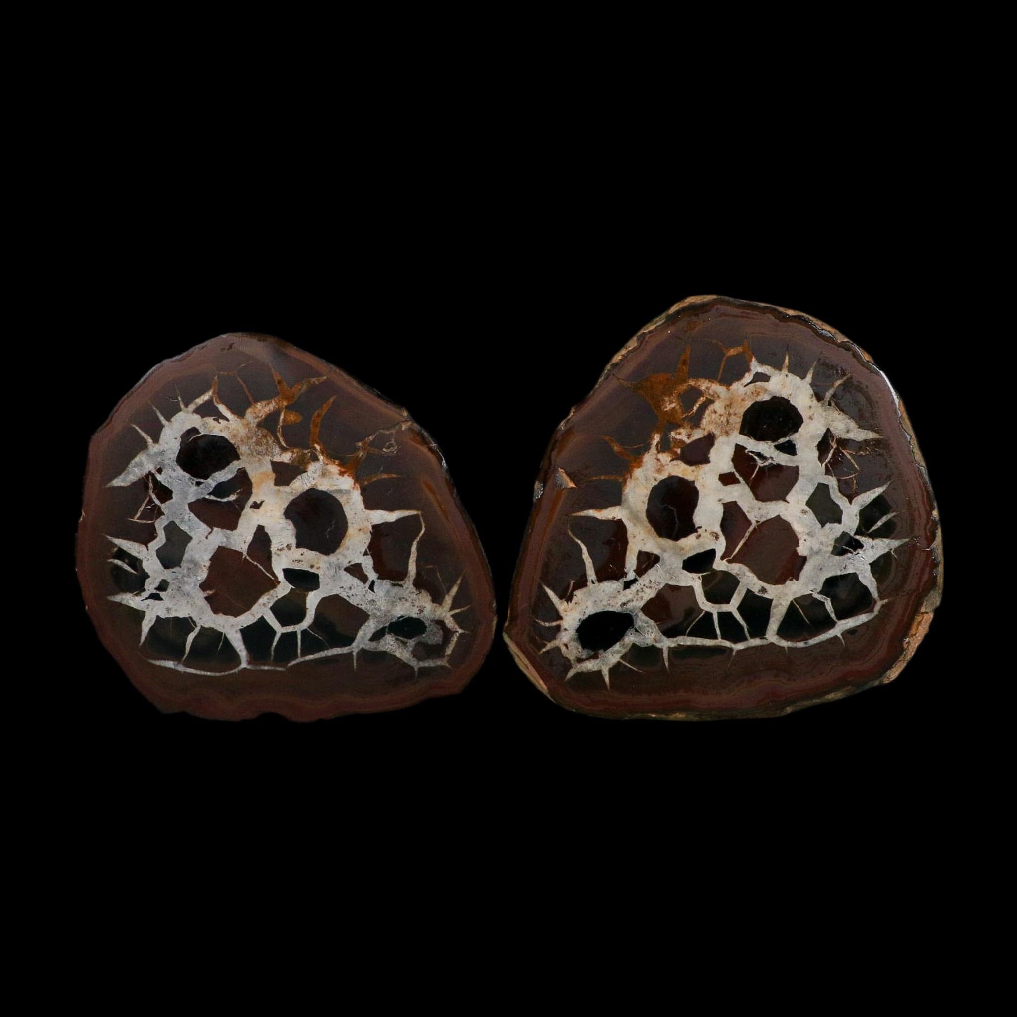 XL 3.9" Septarian Dragon Stone Polished Halves Nodule Mineral Specimen Morocco - Fossil Age Minerals