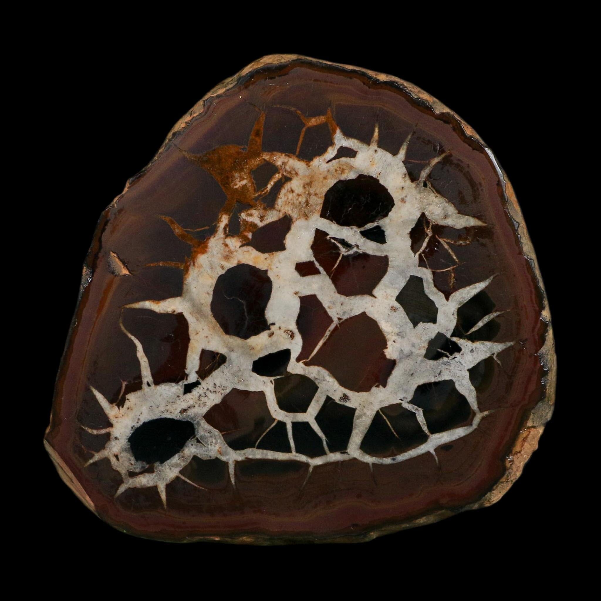 XL 3.9" Septarian Dragon Stone Polished Halves Nodule Mineral Specimen Morocco - Fossil Age Minerals