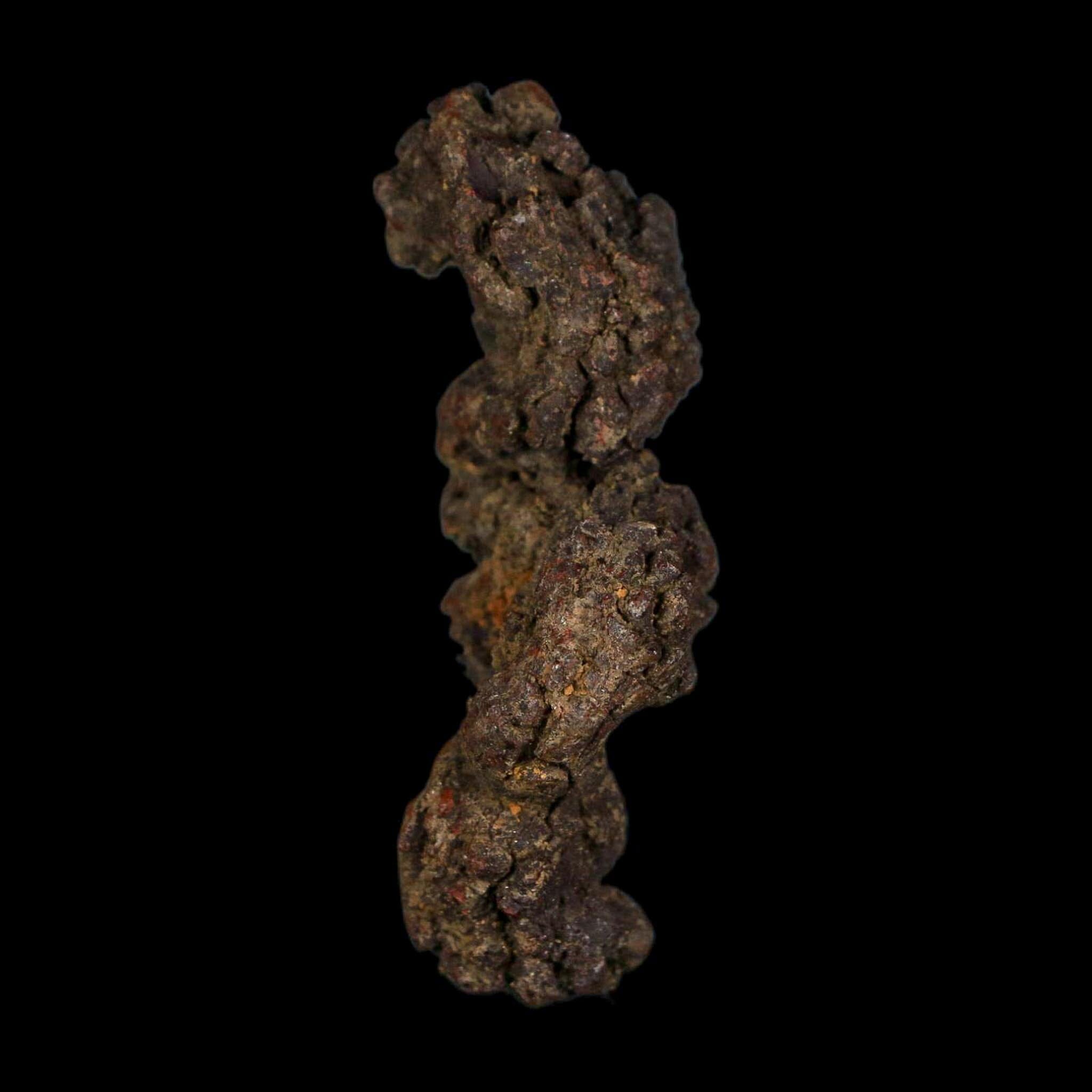 2.4" Prehistoric Coprolite Fossil Specimen Poop Dung Miocene Age Madagascar - Fossil Age Minerals