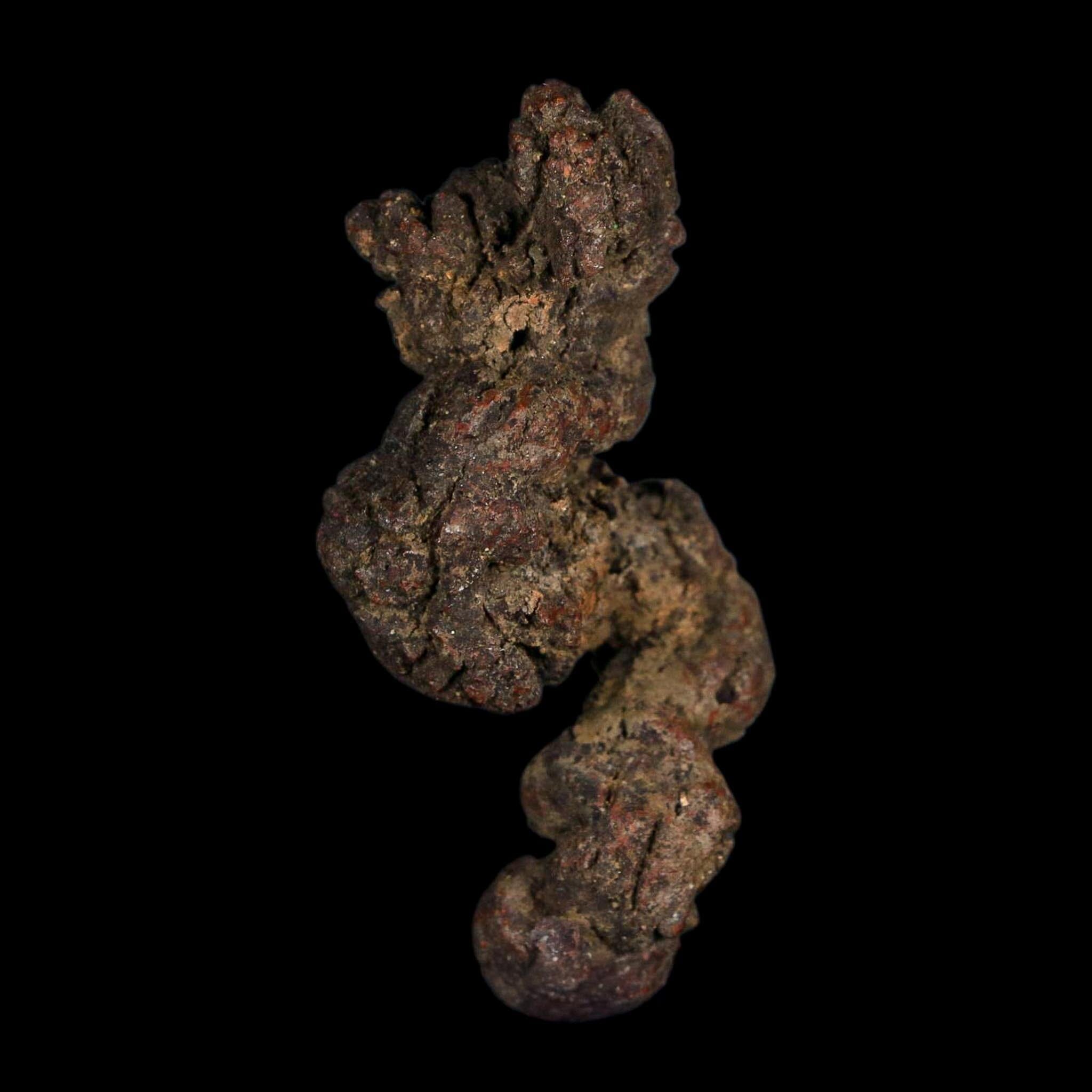 2.4" Prehistoric Coprolite Fossil Specimen Poop Dung Miocene Age Madagascar - Fossil Age Minerals