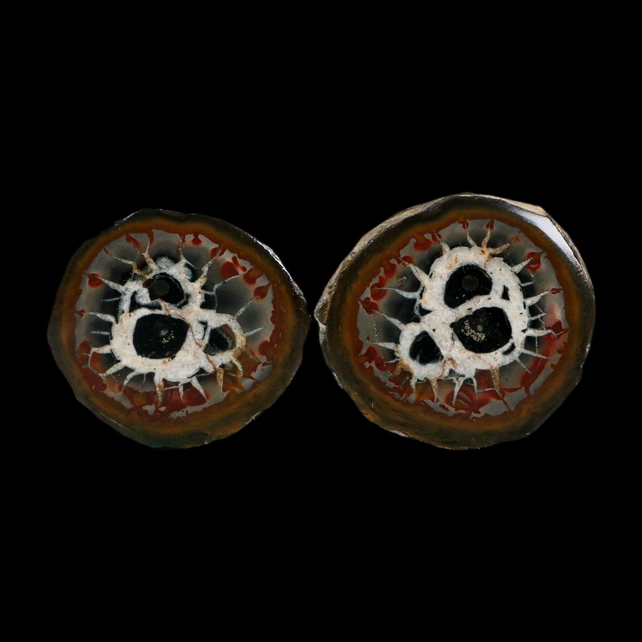 2.2" Septarian Dragon Stone Polished Halves Nodule Mineral Specimen Morocco - Fossil Age Minerals