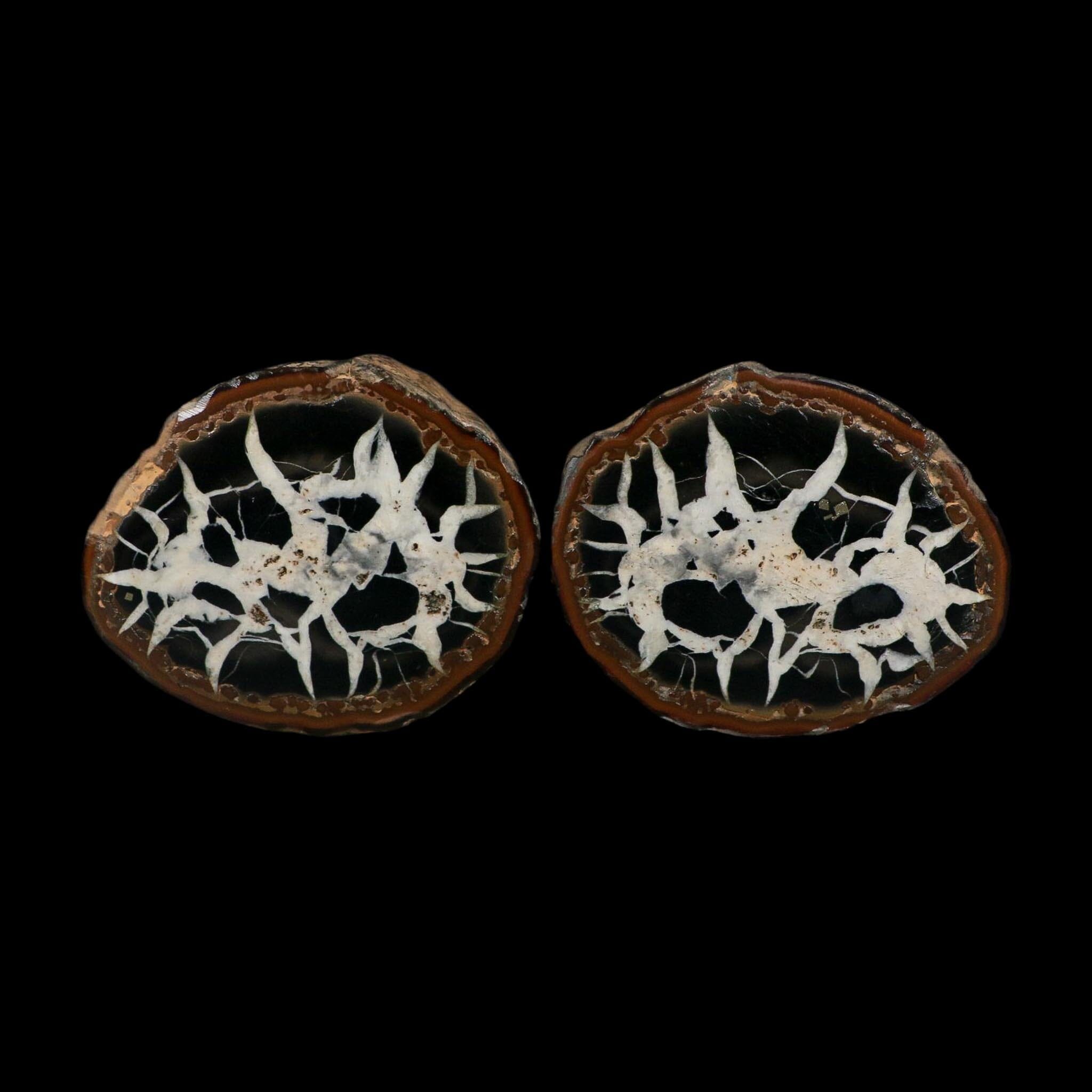 3.2" Septarian Dragon Stone Polished Halves Nodule Mineral Specimen Morocco - Fossil Age Minerals