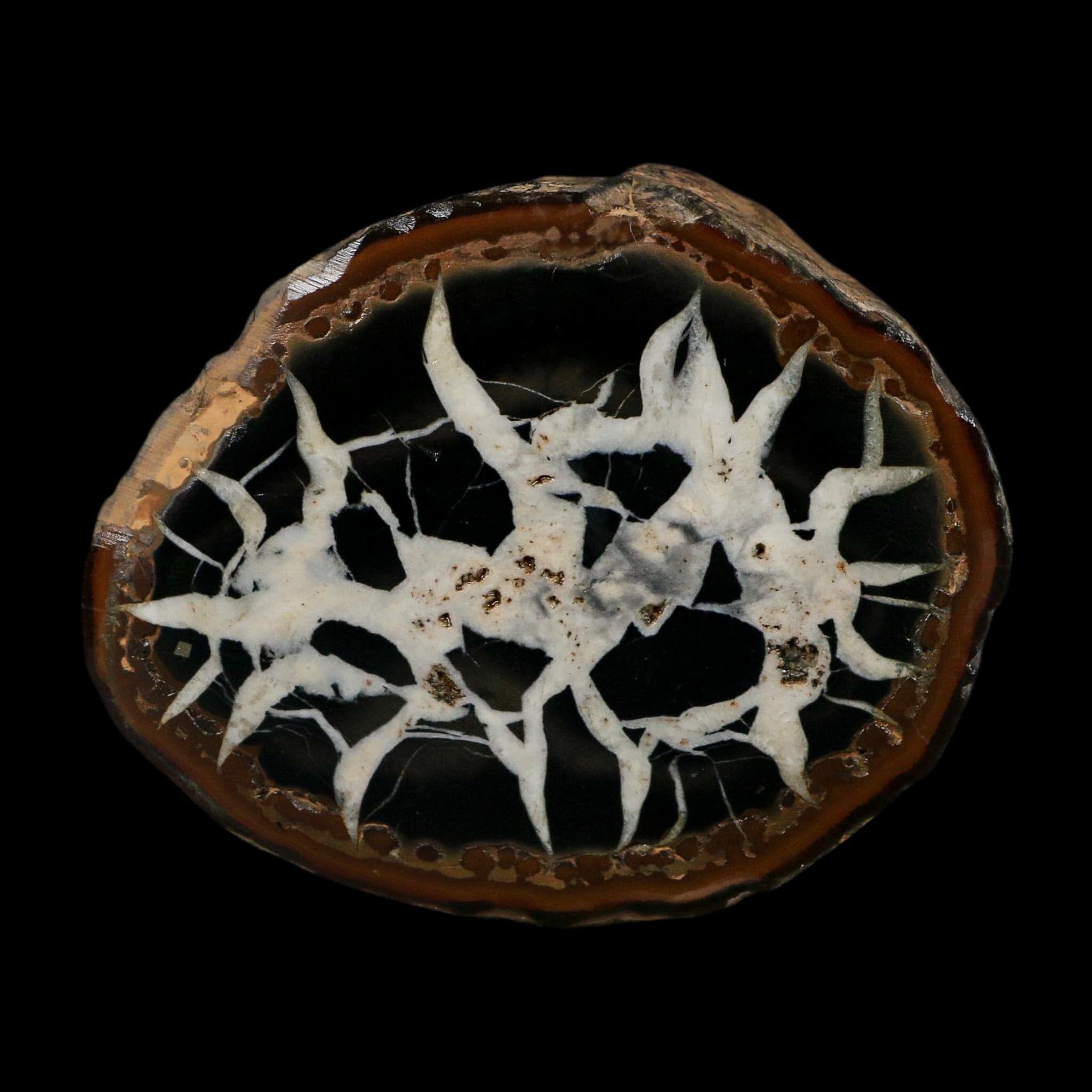 3.2" Septarian Dragon Stone Polished Halves Nodule Mineral Specimen Morocco - Fossil Age Minerals