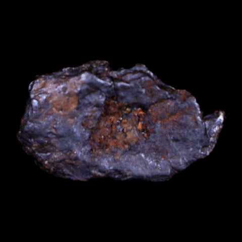 Uruacu Meteorite Specimen Riker Display Goias Brazil Meteorites 2.6 Grams - Fossil Age Minerals