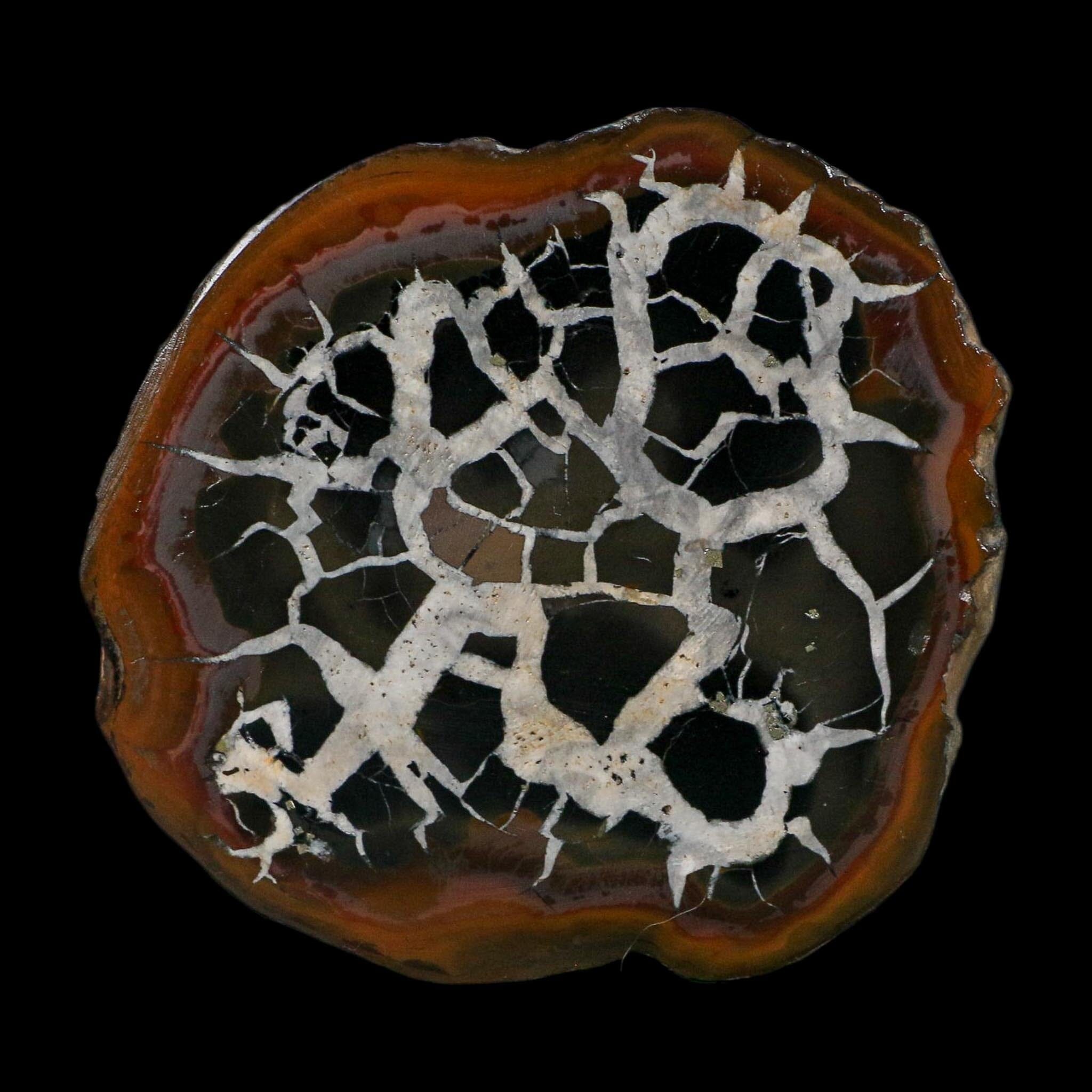 3" Septarian Dragon Stone Polished Halves Nodule Mineral Specimen Morocco - Fossil Age Minerals