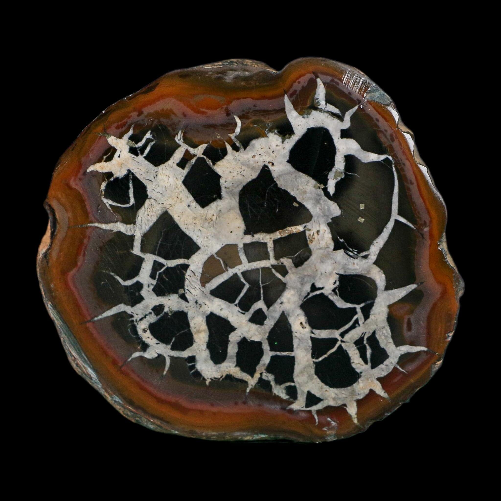 3" Septarian Dragon Stone Polished Halves Nodule Mineral Specimen Morocco - Fossil Age Minerals