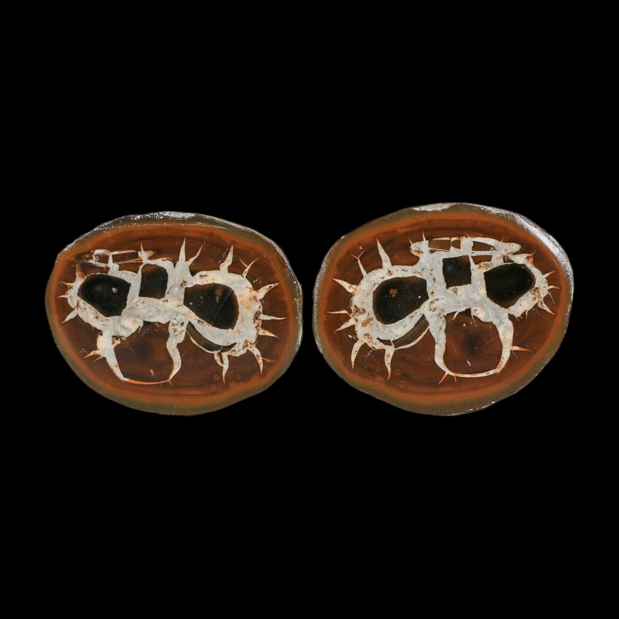 2.3" Septarian Dragon Stone Polished Halves Nodule Mineral Specimen Morocco - Fossil Age Minerals