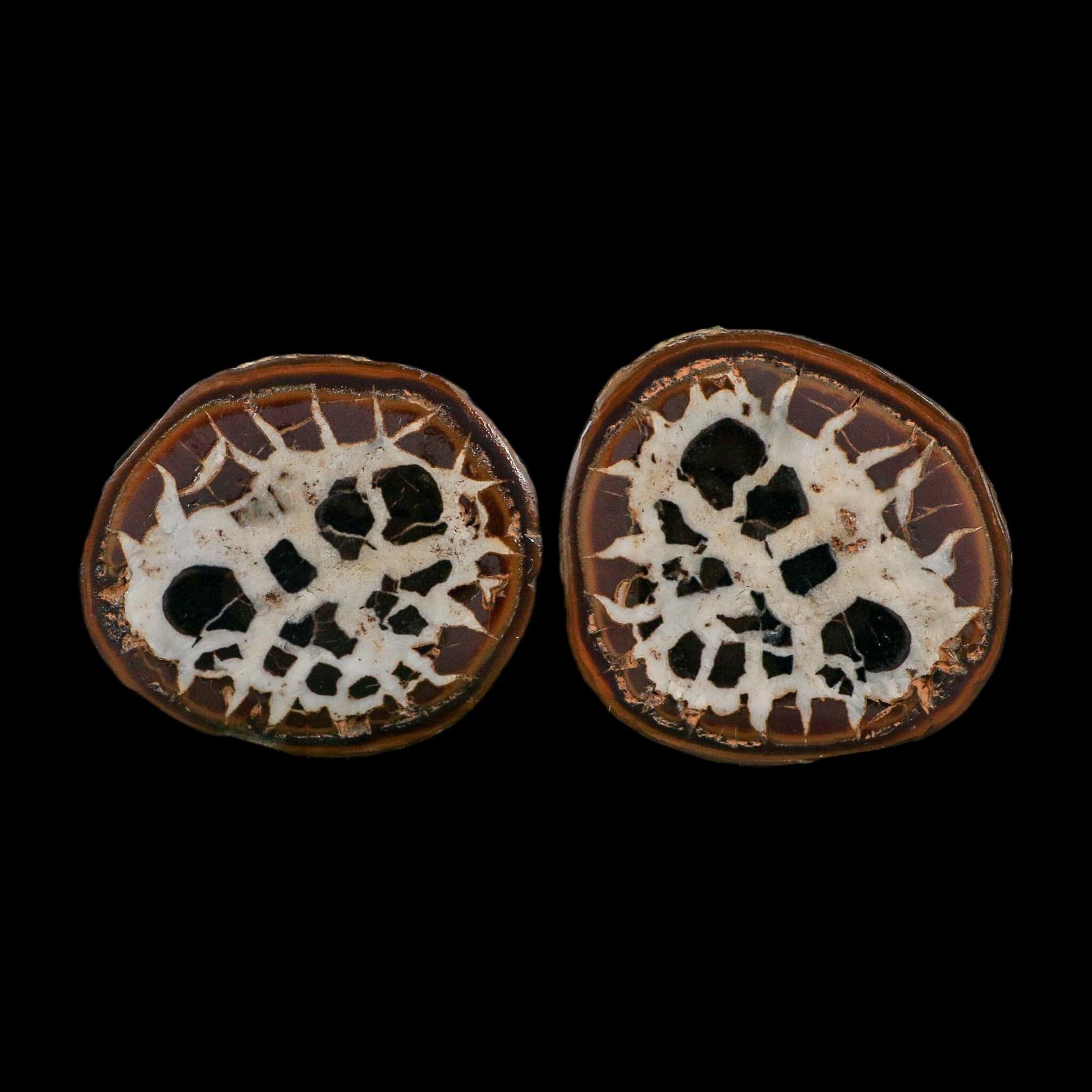 2.2" Septarian Dragon Stone Polished Halves Nodule Mineral Specimen Morocco - Fossil Age Minerals