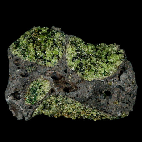 XL 4.1" Natural Emerald Peridot Crystal Minerals On Volcanic Rock Gila, Arizona - Fossil Age Minerals