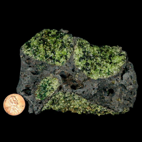 XL 4.1" Natural Emerald Peridot Crystal Minerals On Volcanic Rock Gila, Arizona - Fossil Age Minerals
