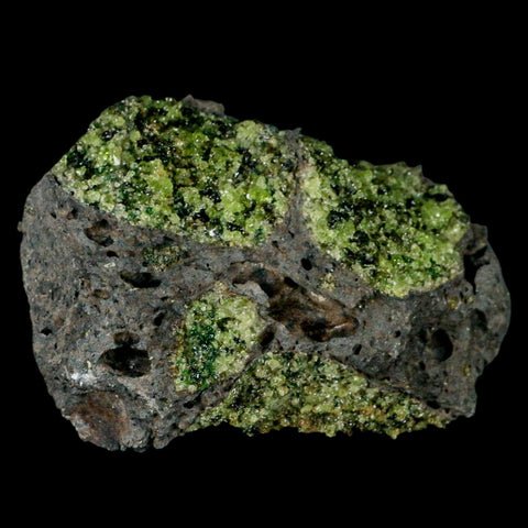 XL 4.1" Natural Emerald Peridot Crystal Minerals On Volcanic Rock Gila, Arizona - Fossil Age Minerals