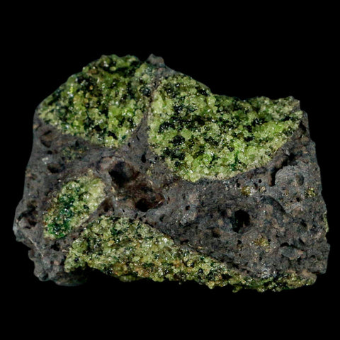 XL 4.1" Natural Emerald Peridot Crystal Minerals On Volcanic Rock Gila, Arizona - Fossil Age Minerals