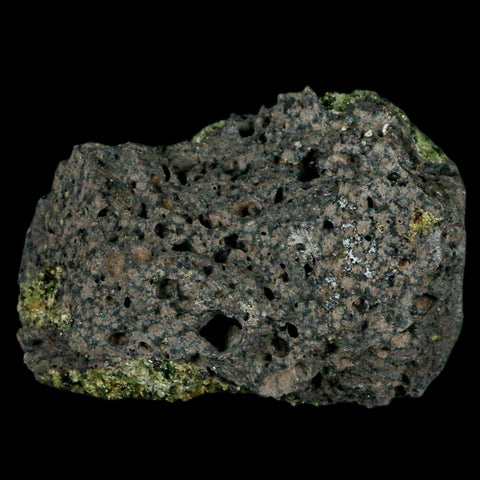 XL 4.1" Natural Emerald Peridot Crystal Minerals On Volcanic Rock Gila, Arizona - Fossil Age Minerals