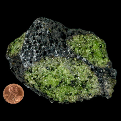 XL 4" Natural Emerald Peridot Crystal Minerals On Volcanic Rock Gila, Arizona - Fossil Age Minerals