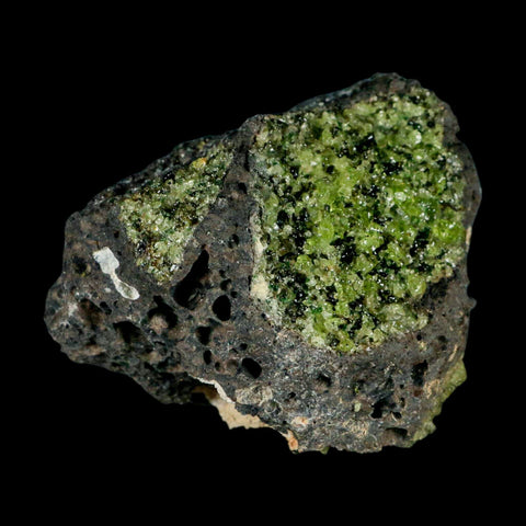 XL 3.5" Natural Emerald Peridot Crystal Minerals On Volcanic Rock Gila, Arizona - Fossil Age Minerals