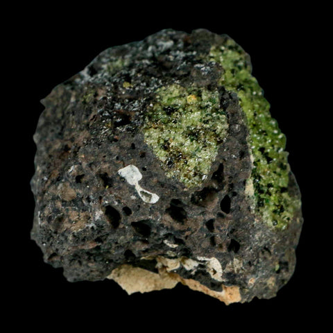 XL 3.5" Natural Emerald Peridot Crystal Minerals On Volcanic Rock Gila, Arizona - Fossil Age Minerals