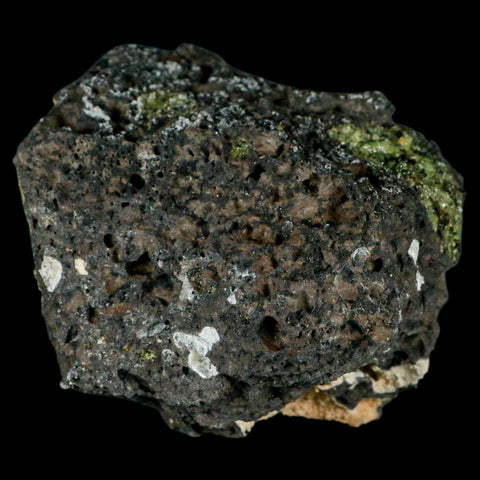 XL 3.5" Natural Emerald Peridot Crystal Minerals On Volcanic Rock Gila, Arizona - Fossil Age Minerals