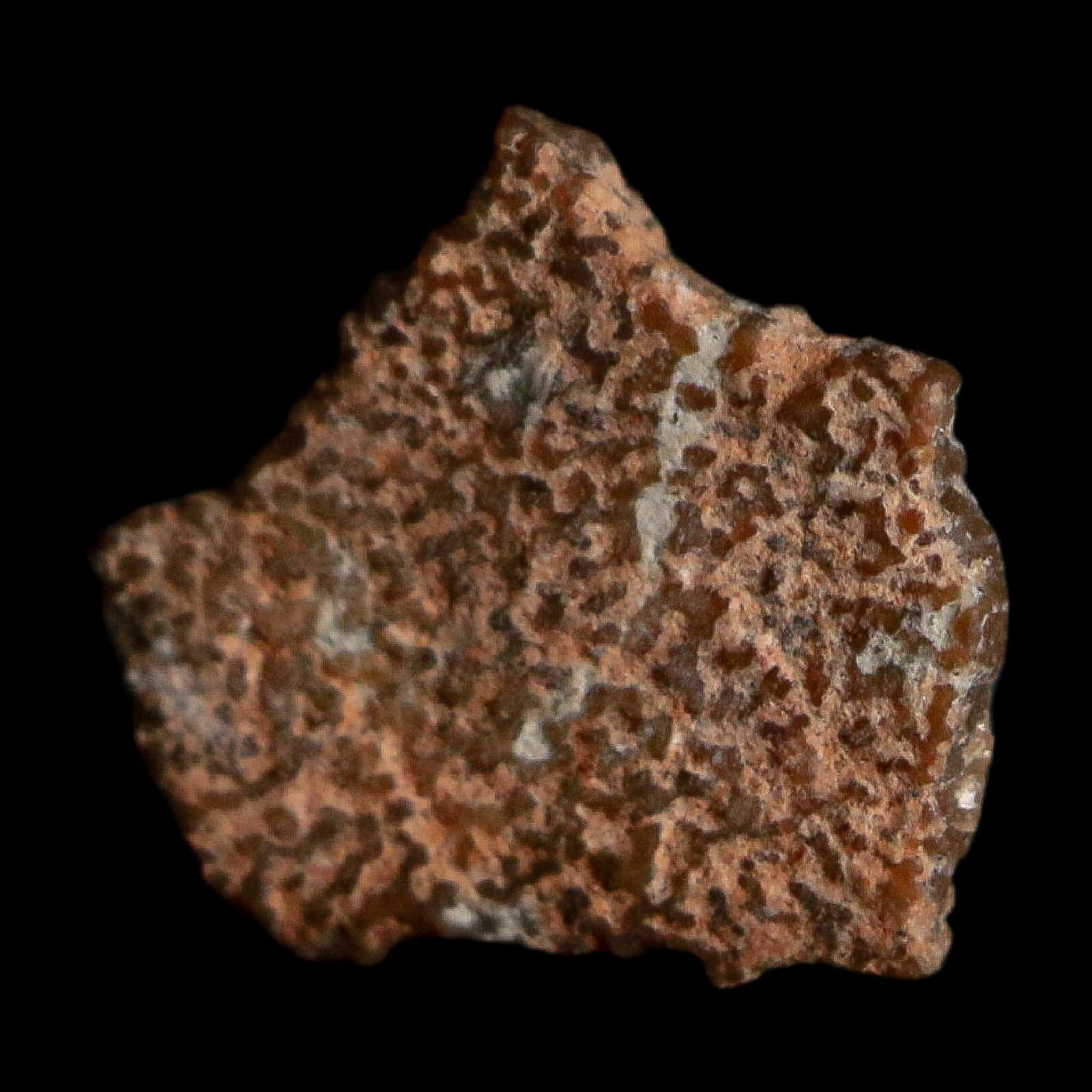 0.4" Megaloolithus Titanosaur Dinosaur Fossil Egg Shell Bouches Du Rhone France Display - Fossil Age Minerals
