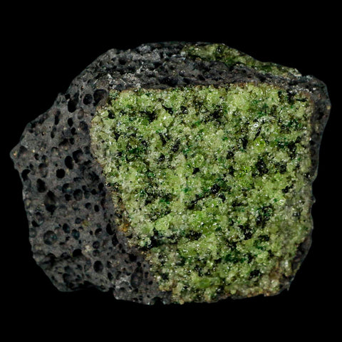 XL 3.5" Natural Emerald Peridot Crystal Minerals On Volcanic Rock Gila, Arizona - Fossil Age Minerals