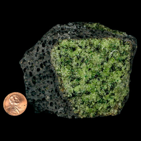XL 3.5" Natural Emerald Peridot Crystal Minerals On Volcanic Rock Gila, Arizona - Fossil Age Minerals