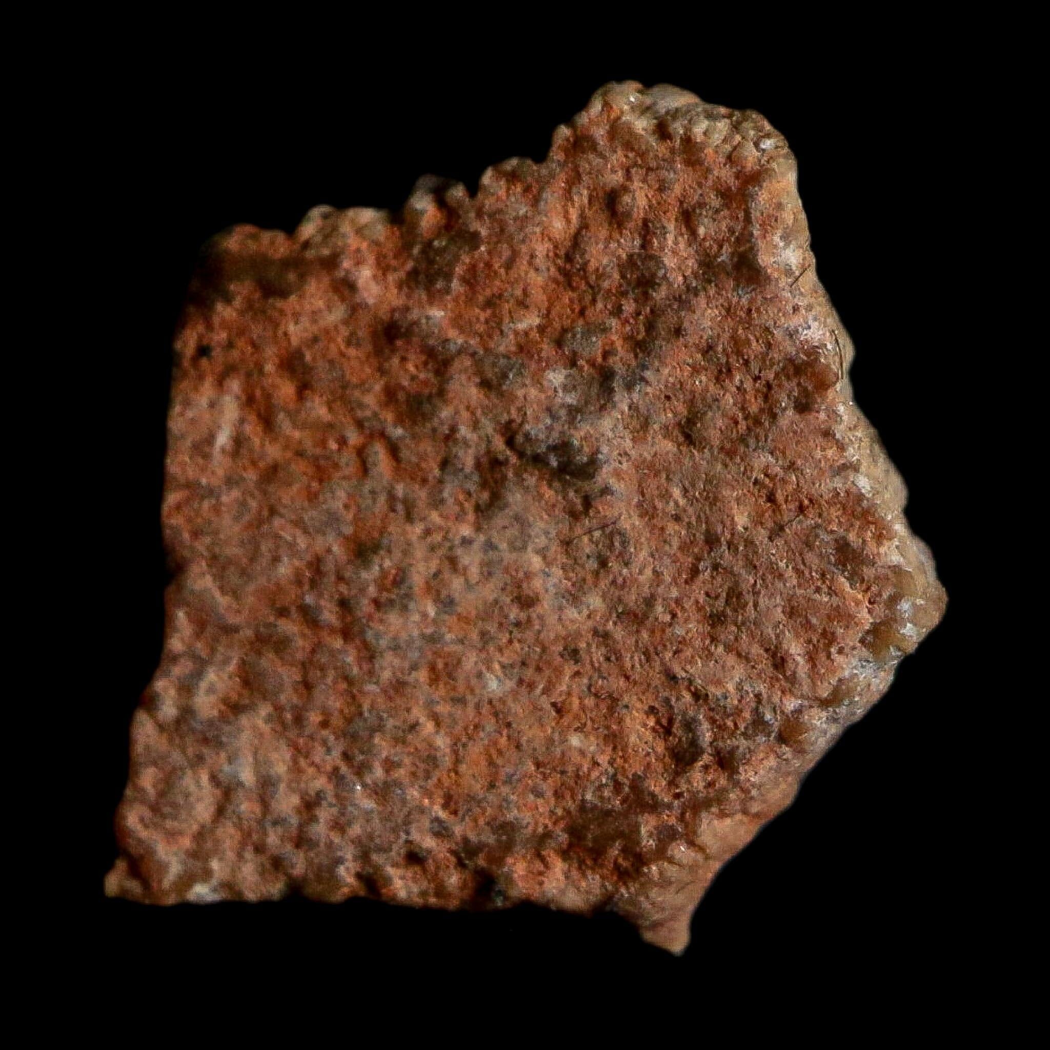 0.4" Megaloolithus Titanosaur Dinosaur Fossil Egg Shell Bouches Du Rhone France Display - Fossil Age Minerals