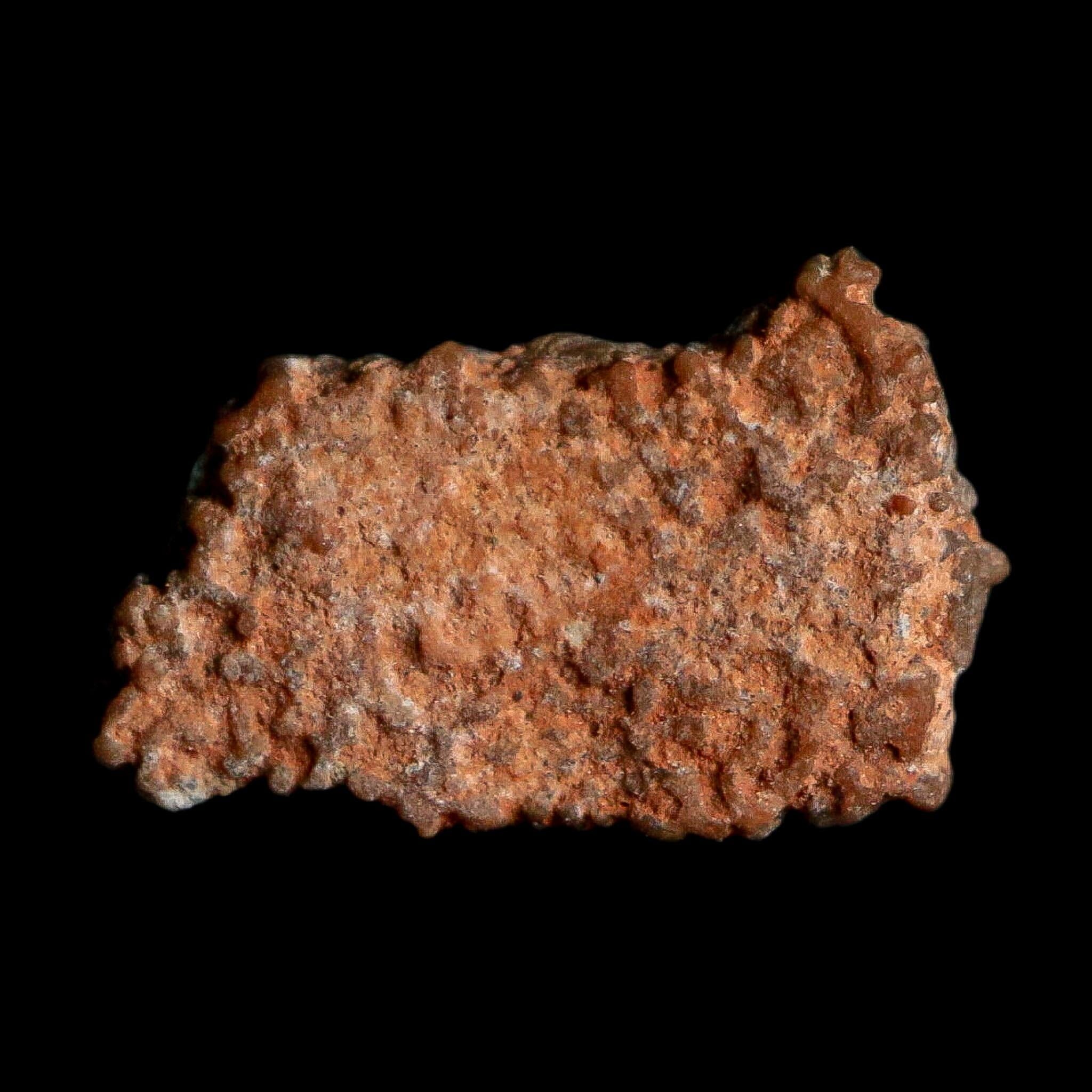 0.5" Megaloolithus Titanosaur Dinosaur Fossil Egg Shell Bouches Du Rhone France Display - Fossil Age Minerals