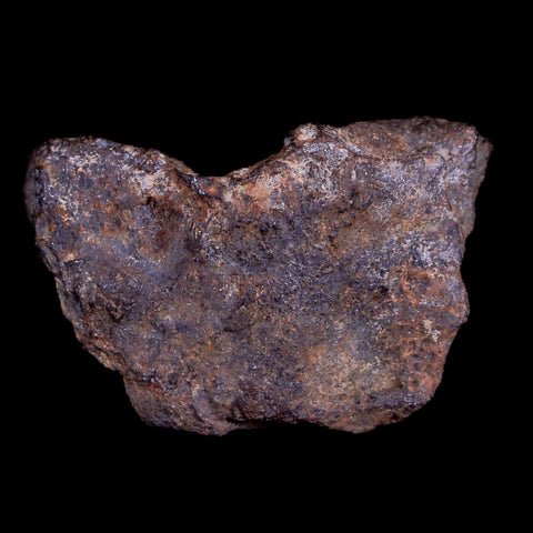 Gebel Kamil Egypt Meteorite Specimen 5000 Yrs Old Meteorites 9 Grams Display - Fossil Age Minerals