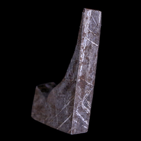 Gibeon Meteorite Specimen Riker Display Namibia Africa Meteorites 8.7 Grams - Fossil Age Minerals