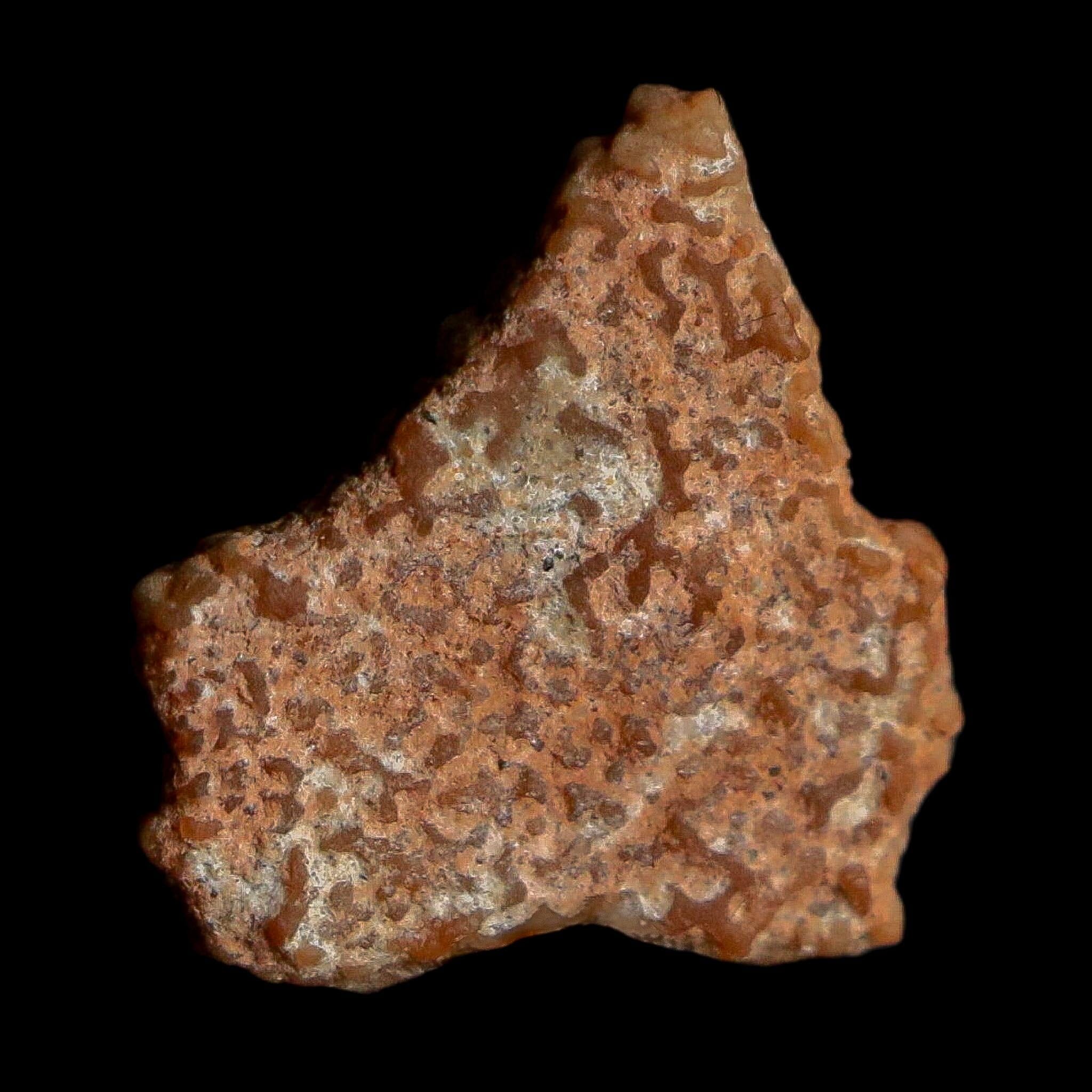 0.4" Megaloolithus Titanosaur Dinosaur Fossil Egg Shell Bouches Du Rhone France Display - Fossil Age Minerals