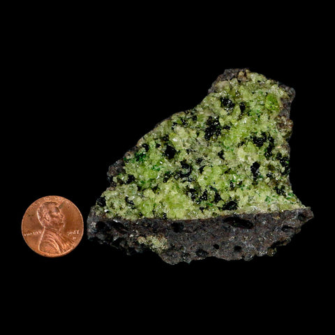 2.7" Emerald Peridot Crystals, Chrome Diopside And Spinel On Volcanic Rock Gila, AZ - Fossil Age Minerals