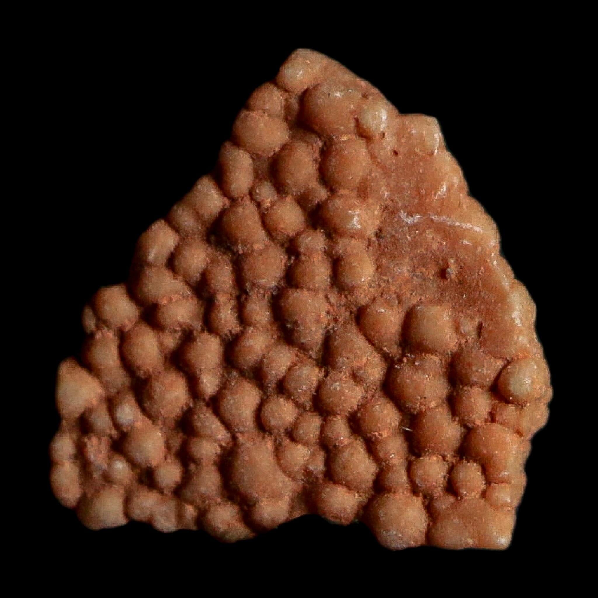 0.3" Megaloolithus Titanosaur Dinosaur Fossil Egg Shell Bouches Du Rhone France Display - Fossil Age Minerals