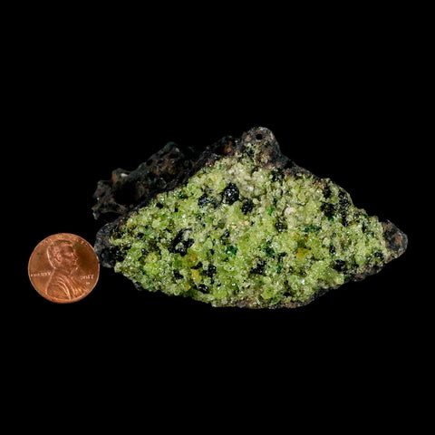 3.2" Emerald Peridot Crystals, Chrome Diopside And Spinel On Volcanic Rock Gila, AZ - Fossil Age Minerals