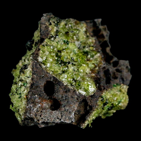 3.2" Emerald Peridot Crystals, Chrome Diopside And Spinel On Volcanic Rock Gila, AZ - Fossil Age Minerals