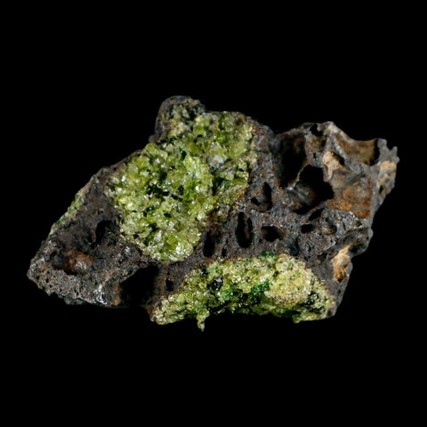 3.2" Emerald Peridot Crystals, Chrome Diopside And Spinel On Volcanic Rock Gila, AZ - Fossil Age Minerals