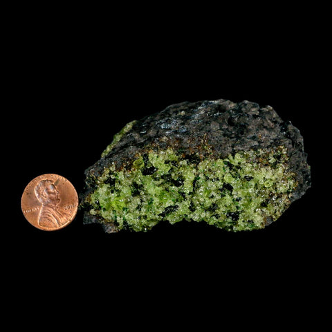 3" Emerald Peridot Crystals, Chrome Diopside And Spinel On Volcanic Rock Gila, AZ - Fossil Age Minerals