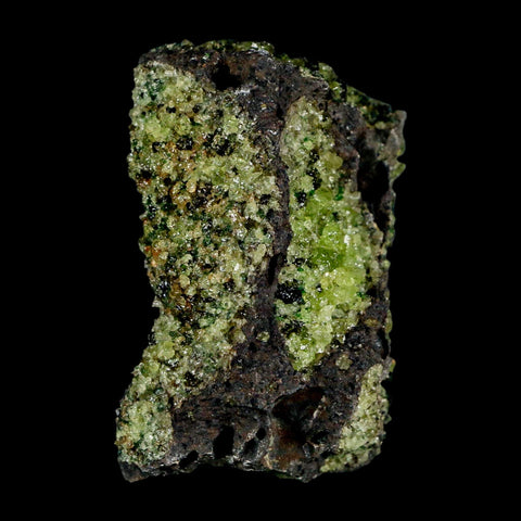 2.6" Emerald Peridot Crystals, Chrome Diopside And Spinel On Volcanic Rock Gila, AZ - Fossil Age Minerals