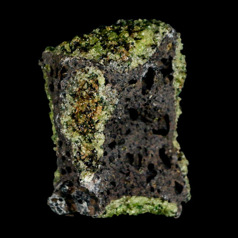 2.6" Emerald Peridot Crystals, Chrome Diopside And Spinel On Volcanic Rock Gila, AZ - Fossil Age Minerals