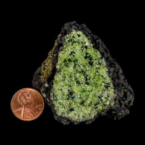2.4" Emerald Peridot Crystals, Chrome Diopside And Spinel On Volcanic Rock Gila, AZ - Fossil Age Minerals