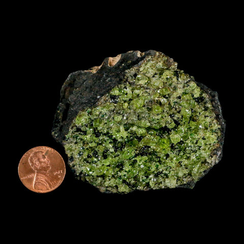 2.6" Emerald Peridot Crystals, Chrome Diopside And Spinel On Volcanic Rock Gila, AZ - Fossil Age Minerals