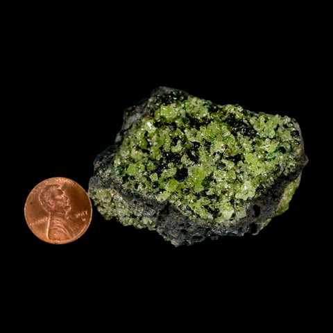 2.2" Emerald Peridot Crystals, Chrome Diopside And Spinel On Volcanic Rock Gila, AZ - Fossil Age Minerals