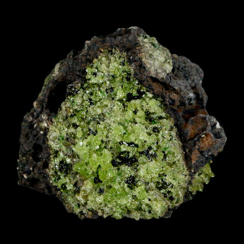 2.5" Emerald Peridot Crystals, Chrome Diopside And Spinel On Volcanic Rock Gila, AZ - Fossil Age Minerals