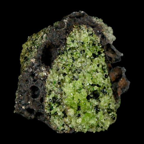 2.5" Emerald Peridot Crystals, Chrome Diopside And Spinel On Volcanic Rock Gila, AZ - Fossil Age Minerals